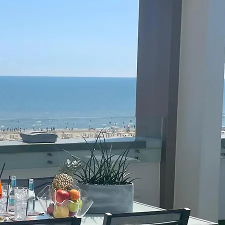 酒店 国家酒店 里米尼